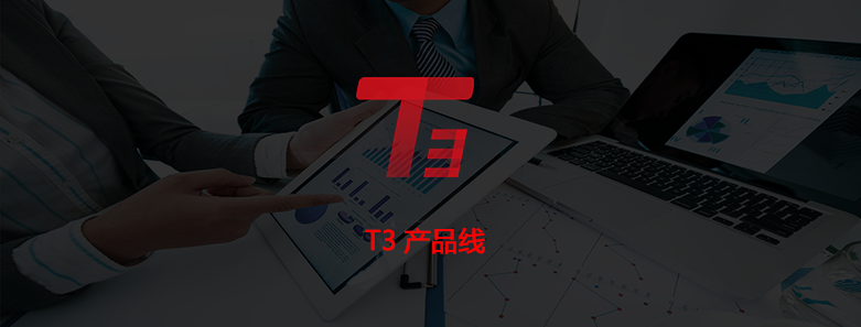 T3 產(chǎn)品描述1.png